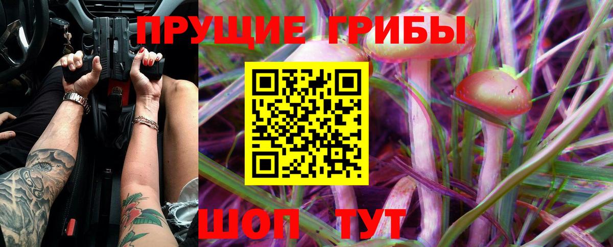 Псилоцибиновые грибы ЛСД  Вход с VPN  Новокубанск  Псилоцибиновые грибы мухоморы 